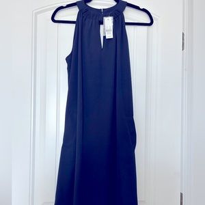 Medium New York & Company Navy Blue Dress